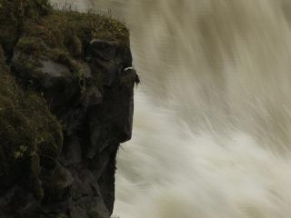 Link to Video | landscape, Greenland, Greenland, nature