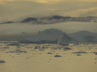 Link to Video | Greenland, Greenland