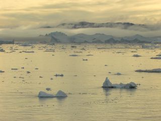 Link to Video | Greenland, Greenland