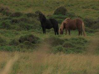 Link to Video | Greenland, Greenland