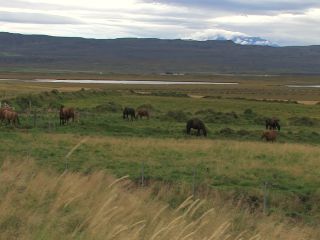 Link to Video | Greenland, Greenland