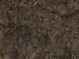 Link to Video | landscape, Greenland, Greenland, nature