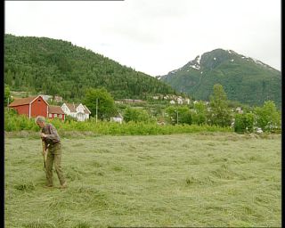 Link to Video | Norway, 1993, Scandinavia, color, standard-definition television, 90s, 1990s, Balestrand Municipality, Betacam SP