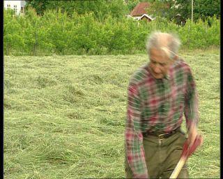 Link to Video | Norway, 1993, Scandinavia, color, standard-definition television, 90s, 1990s, Balestrand Municipality, Betacam SP