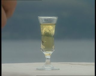 Link to Video | Norway, 1993, Scandinavia, color, standard-definition television, 90s, 1990s, Balestrand Municipality, Betacam SP