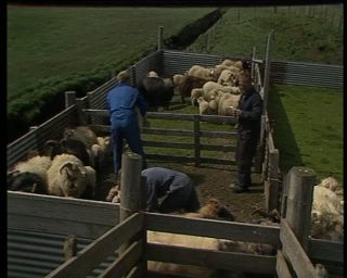 Link to Video | Iceland, 1990, Scandinavia, color, Northern Europe, Europe