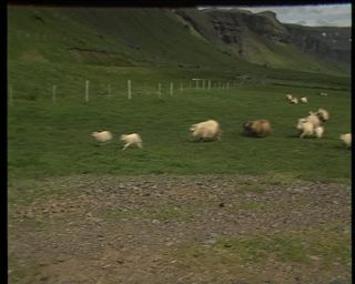 Link to Video | Iceland, 1990, Scandinavia, color, Northern Europe, Europe