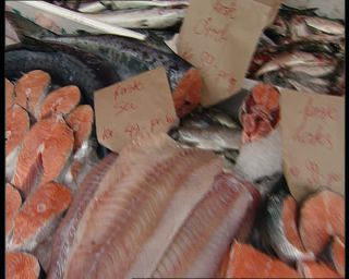 Link to Video | fish market, Norway, 1993, Scandinavia, color, standard-definition television, Bergen, 90s, 1990s, Betacam SP