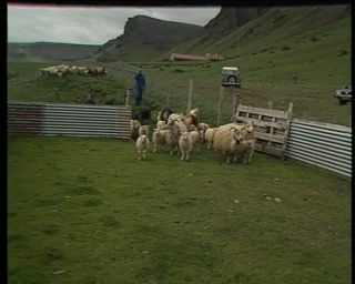Link to Video | Iceland, 1990, Scandinavia, color, Northern Europe, Europe