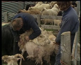 Link to Video | Iceland, 1990, Scandinavia, color, Northern Europe, Europe