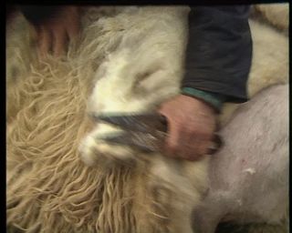 Link to Video | Iceland, 1990, Scandinavia, color, Northern Europe, Europe