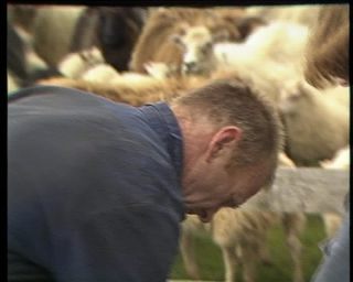 Link to Video | Iceland, 1990, Scandinavia, color, Northern Europe, Europe