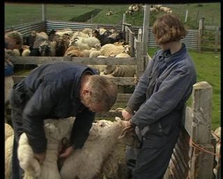 Link to Video | Iceland, 1990, Scandinavia, color, Northern Europe, Europe