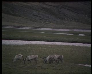 Link to Video | Iceland, 1990, Scandinavia, color, Northern Europe, Europe