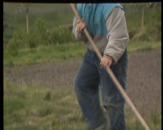 Link to Video | Iceland, 1990, Scandinavia, color, Northern Europe, Europe