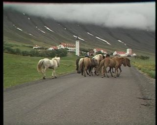 Link to Video | Iceland, 1990, Scandinavia, color, Northern Europe, Europe