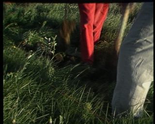 Link to Video | Iceland, 1990, Scandinavia, color, Northern Europe, Europe