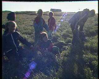 Link to Video | Iceland, 1990, Scandinavia, color, Northern Europe, Europe
