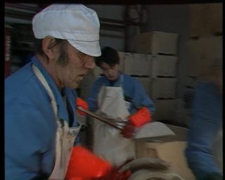 Link to Video | Iceland, 1990, Scandinavia, color, Northern Europe, Europe