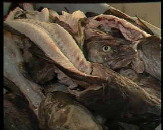 Link to Video | Iceland, 1990, Scandinavia, color, Northern Europe, Europe