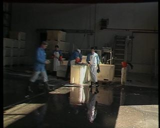 Link to Video | Iceland, 1990, Scandinavia, color, Northern Europe, Europe