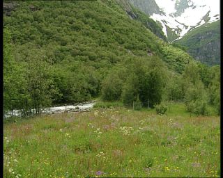 Link to Video | Norway, Scandinavia, Briksdalsbreen