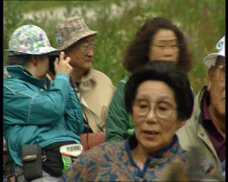 Link to Video | Norway, Scandinavia, Briksdalsbreen