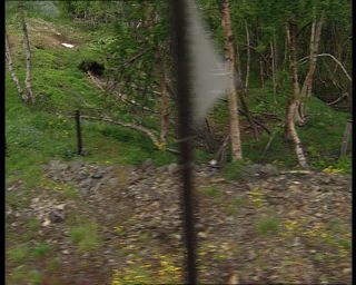 Link to Video | Norway, Scandinavia, Flåm Line