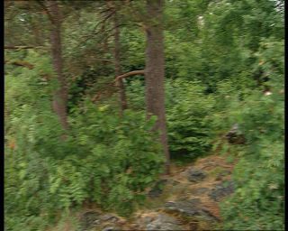 Link to Video | Norway, 1993, Scandinavia, color, standard-definition television, Bergen, 90s, 1990s