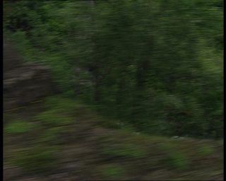 Link to Video | Norway, Scandinavia, Flåm Line