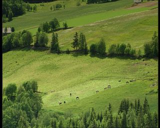 Link to Video | Norway, Scandinavia