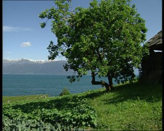 Link to Video | Norway, 1993, Scandinavia, standard-definition television, 90s, 1990s, fjord, Hardangerfjord