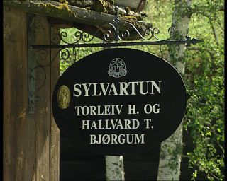 Link to Video | Norway, Scandinavia, Hylestad