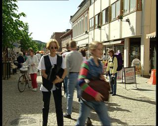 Link to Video | summer, Norway, 1993, Scandinavia, color, standard-definition television, Lillehammer, Betacam SP