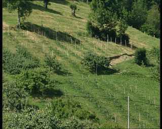 Link to Video | Norway, 1993, Scandinavia, standard-definition television, 90s, 1990s, fjord, Hardangerfjord