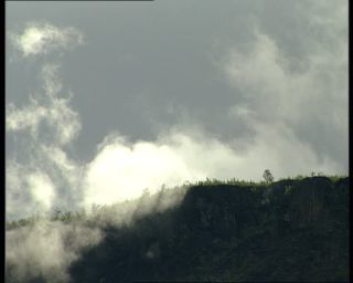 Link to Video | Norway, Scandinavia