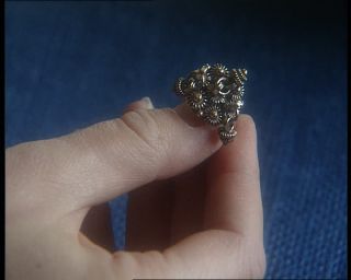 Link to Video | Norway, Scandinavia, Hylestad