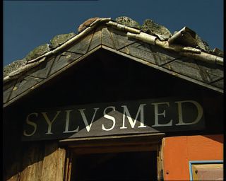 Link to Video | Norway, Scandinavia, Hylestad