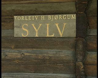 Link to Video | Norway, Scandinavia, Hylestad