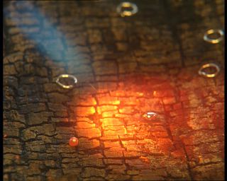 Link to Video | Norway, Scandinavia, Hylestad