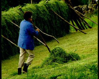 Link to Video | Norway, Scandinavia