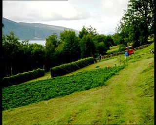 Link to Video | Norway, Scandinavia