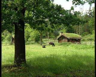 Link to Video | Norway, Scandinavia, Oslo