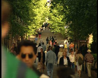 Link to Video | Norway, Scandinavia, Oslo