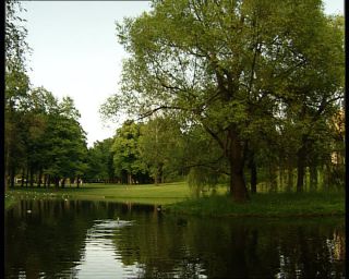 Link to Video | Norway, Scandinavia, Oslo