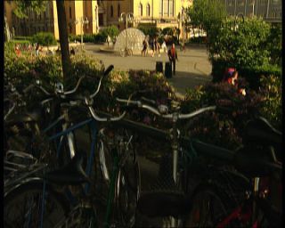 Link to Video | Norway, Scandinavia, Oslo