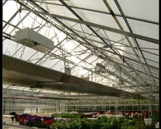 Link to Video | Norway, Scandinavia, 1990s