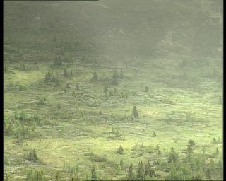 Link to Video | Norway, Scandinavia