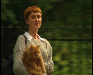 Link to Video | Norway, Scandinavia, Oslo