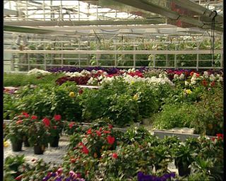 Link to Video | Norway, Scandinavia